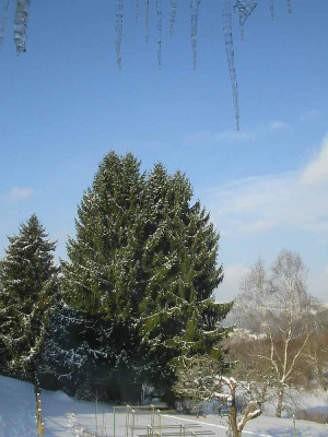 Sonne_16.02.10.jpg