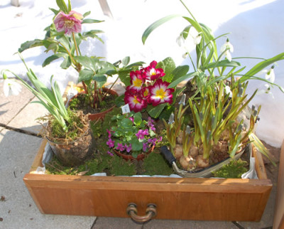 Fruelingsdekoration_1_0010__2862.jpg