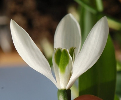 Valentinstag_1_0010__2866.jpg