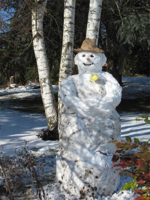 schneemann_01.jpg