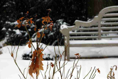 Gartenansichten_1_12-02-2010.jpg