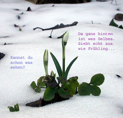 Wetterbericht__16.2.10.jpg