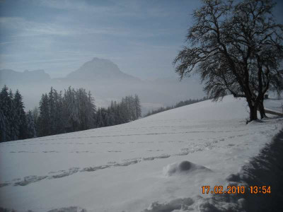 DSCN4665.jpg