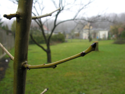 DSCN2282.jpg