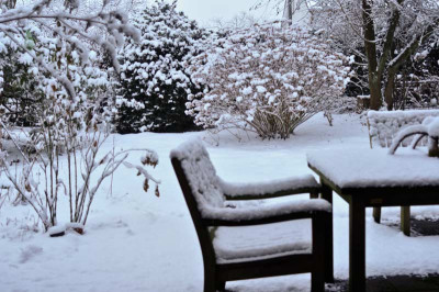 Schnee-Feb2110-004.jpg