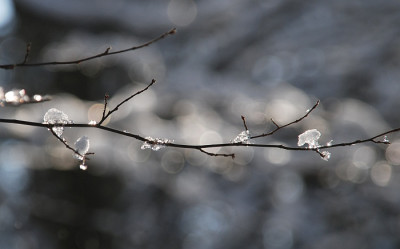 eis_09_ast_01.jpg