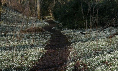 Walsingham_3.JPG