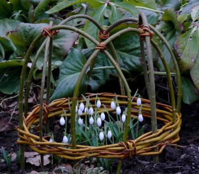 Snowdome_aus_Cornuszweigen.JPG