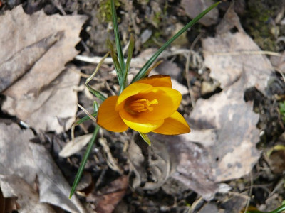 P1050256.JPG