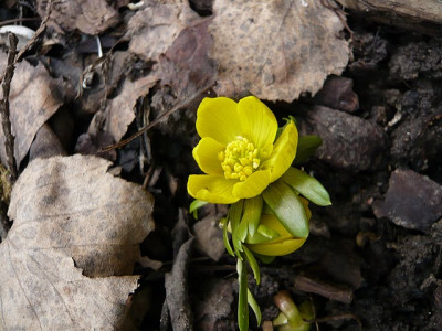 P1050259.JPG