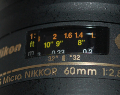 Makro_0010_2948.jpg