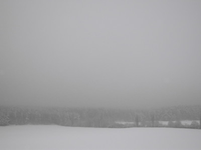 DSCN3826_Waldblick_Februar_web.jpg