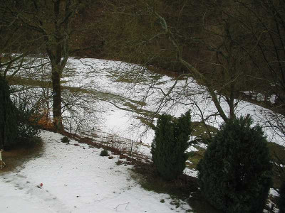 Bach_25.02.10_2.jpg