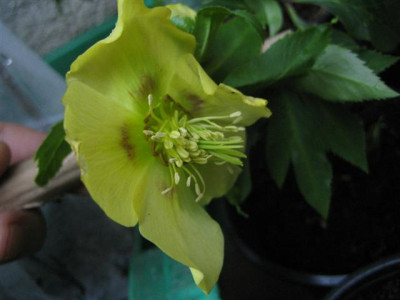 2010_015_Small.jpg