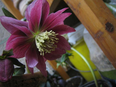 2010_016_Small.jpg
