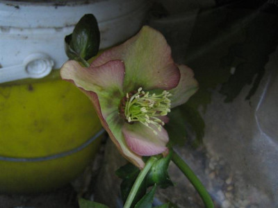 2010_014_Small.jpg