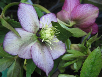 2010_009_Small.jpg