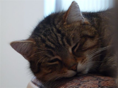 26.02.2010.60.JPG