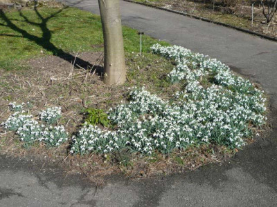 P1050336.jpg