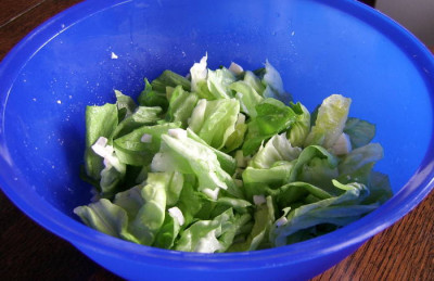 02032010-2.jpg