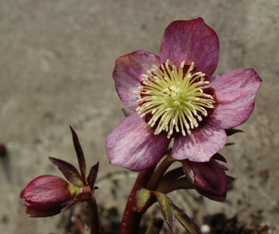 Farbe_0012__3069.jpg