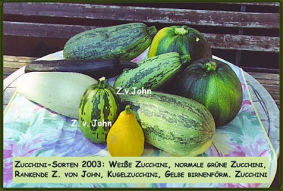 Zucchinis.jpg