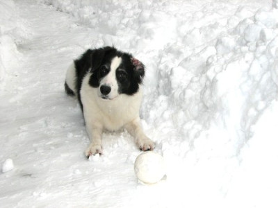comp_1.Febr.2010_38.jpg