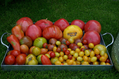August0908a.jpg