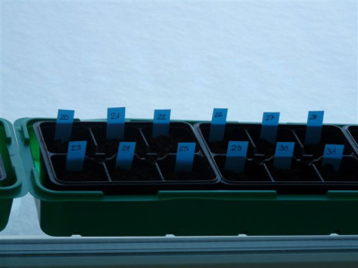 07.03.2010.60.JPG