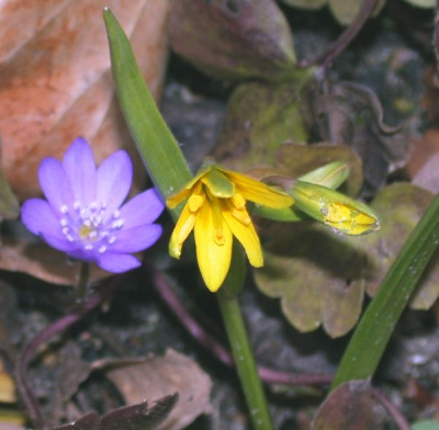 DSCN4065002.jpg