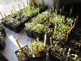 138__3-8.JPG