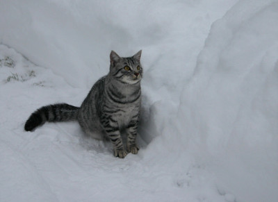 Feb.0910a.jpg