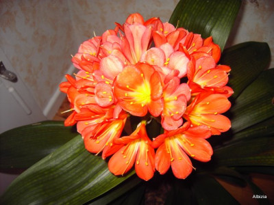 PICT1673-1.JPG