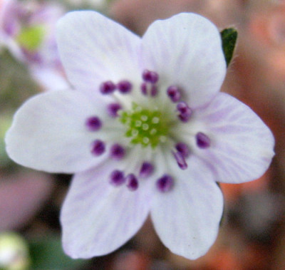 Xenia_16.3.10.__027.jpg