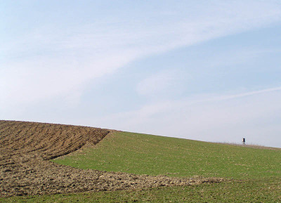 minimalismus_des_alpenvorlandes_5.jpg