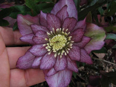gef_pic_10.jpg