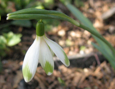 18.3.10._054.jpg