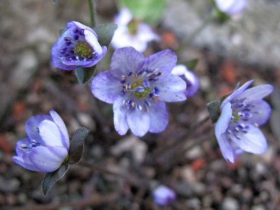 Ipswich__18.3.10._004.jpg