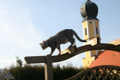 Marz1210.jpg