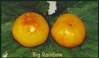 Big_Rainbow.jpg