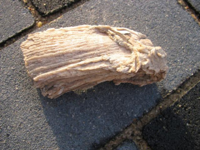 unbek1.JPG