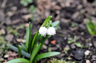 DSC_0176L_u.jpg