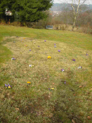 Kroken_24.03.2010.jpg