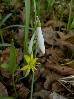 Paar280305.JPG
