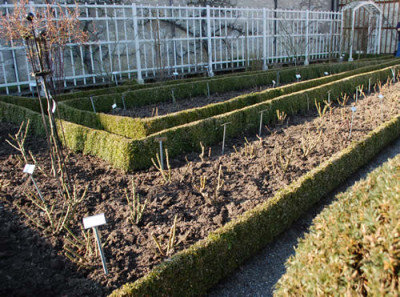 Fertig_0010__63420.jpg