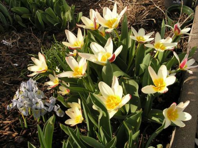 100325_1a.jpg