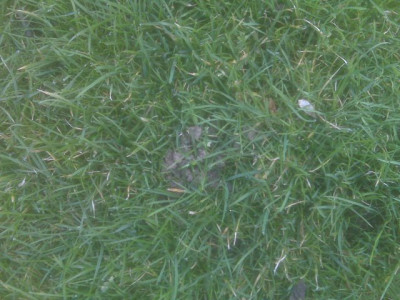 IMG00026.jpg