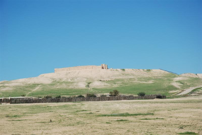 B1556_Medium.JPG