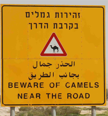 B2123a_Large.JPG