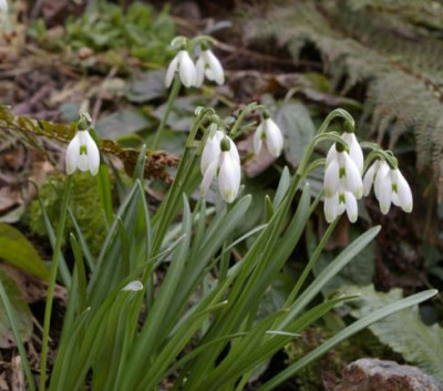 K800_20100324_186.JPG